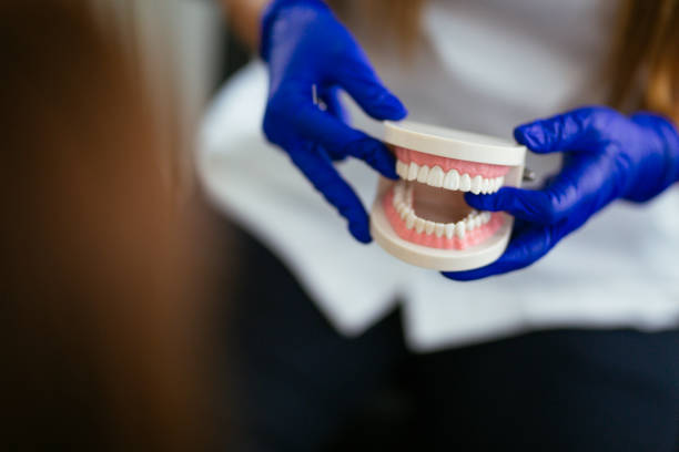 Reliable Wilmore, KY  Holistic Dental Services Solutions